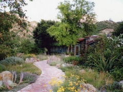 Lobo Canyon Residence -Entry Garden